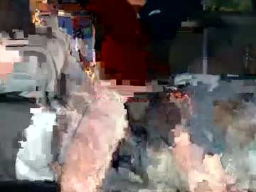 Bradpokeamam January 24, 2025 Chaturbate stream image