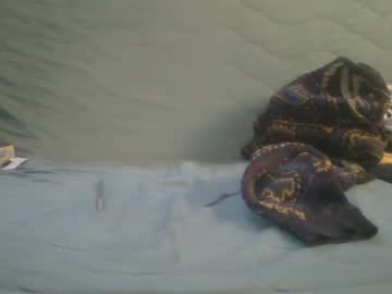 Sweetaussieb January 24, 2025 Chaturbate stream image