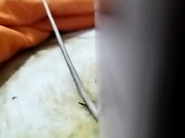 Jaimescook January 25, 2025 Chaturbate stream image