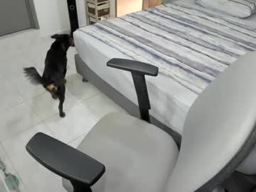 Bellaprettty January 25, 2025 Chaturbate stream image