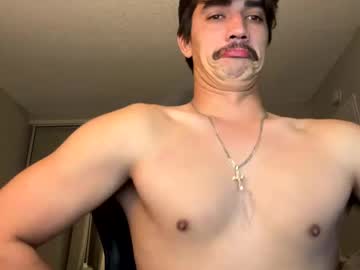 Willd4 January 26, 2025 Chaturbate stream image