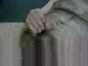 Zepincam January 26, 2025 Chaturbate stream image