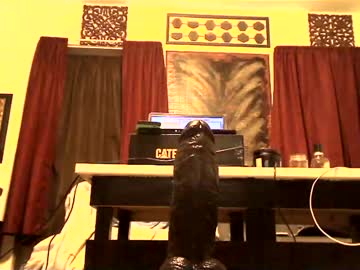 Gatewaylaptop2019 January 26, 2025 Chaturbate stream image