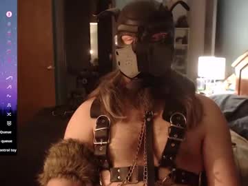 Kinkywolf87 January 26, 2025 Chaturbate stream image