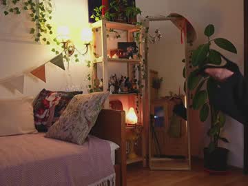 Eli_Sun January 27, 2025 Chaturbate stream image