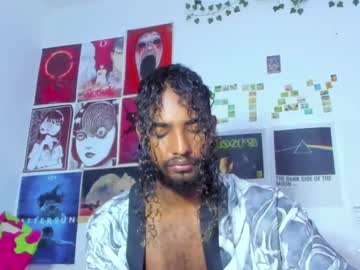 Mike__Thomson_ January 27, 2025 Chaturbate stream image