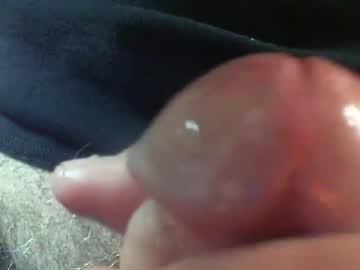 Comox1961 January 28, 2025 Chaturbate stream image