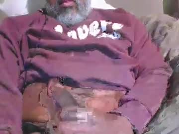Shy333 January 29, 2025 Chaturbate stream image