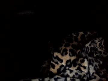 Ballsbedraggin January 29, 2025 Chaturbate stream image