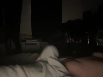 Shy184_ January 29, 2025 Chaturbate stream image