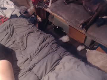 Kickinthebox January 29, 2025 Chaturbate stream image