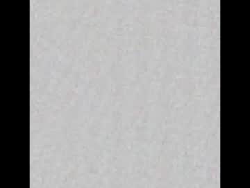 Foxygbaby January 29, 2025 Chaturbate stream image