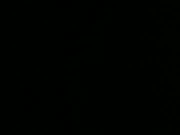 Sugarqane January 29, 2025 Chaturbate stream image