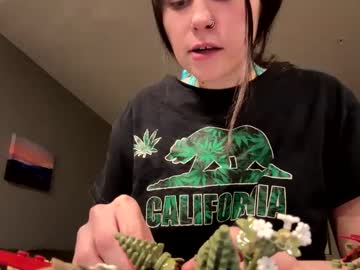 Xo_Mngirl January 30, 2025 Chaturbate stream image