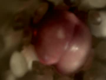 Nocturnusfuz stream photo from January 30, 2025