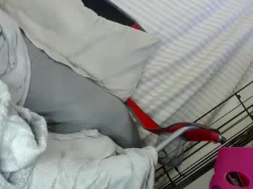 Ogdigbick January 30, 2025 Chaturbate stream image