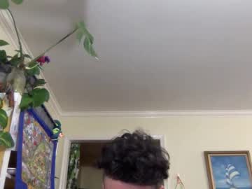 Lynniebee January 31, 2025 Chaturbate stream image