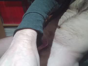 Musicalmasturbear January 31, 2025 Chaturbate stream image