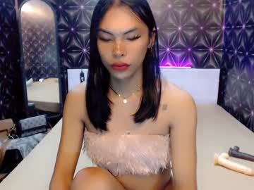 Ts_Ainsley January 31, 2025 Chaturbate stream image