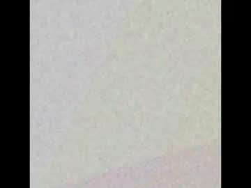 Torrycarter January 31, 2025 Chaturbate stream image