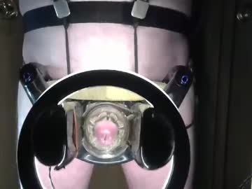 Robodickmilker January 31, 2025 Chaturbate stream image