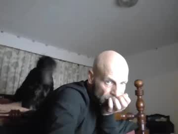 Toysinme2 February 01, 2025 Chaturbate stream image