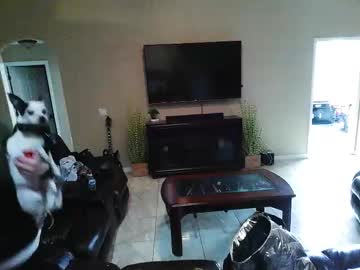 Sam_Papithebarber February 01, 2025 Chaturbate stream image