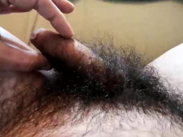 Littlebush3000 February 01, 2025 Chaturbate stream image
