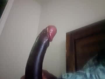 Lovepusbad February 01, 2025 Chaturbate stream image