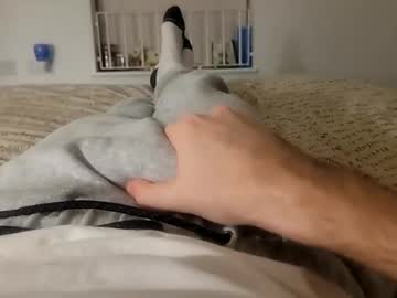 8_Thick February 01, 2025 Chaturbate stream image
