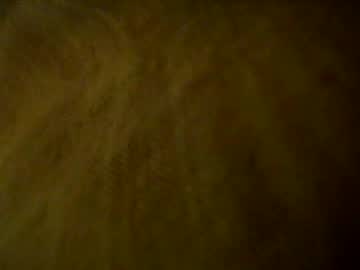 Evh297 February 01, 2025 Chaturbate stream image