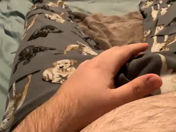 Bandman862 February 02, 2025 Chaturbate stream image