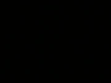 Sassie_Bee February 02, 2025 Chaturbate stream image