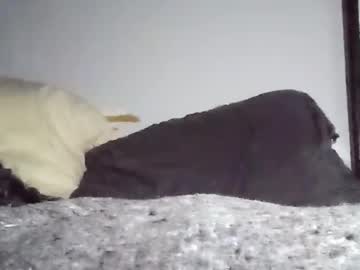 Ryckyxxx February 02, 2025 Chaturbate stream image