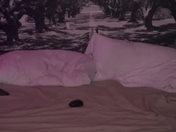 Txdl009 February 02, 2025 Chaturbate stream image