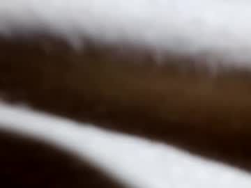 Selenaventura February 02, 2025 Chaturbate stream image