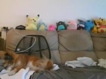 Nikeair305 February 03, 2025 Chaturbate stream image