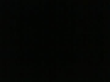 Runepetter February 03, 2025 Chaturbate stream image