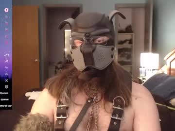 Kinkywolf87 February 03, 2025 Chaturbate stream image