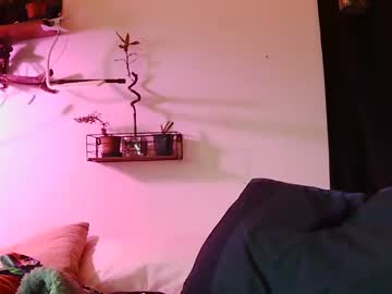 Teasemenelly February 03, 2025 Chaturbate stream image