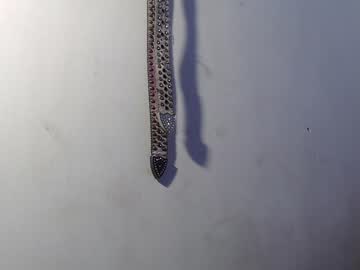 Alid_17 February 03, 2025 Chaturbate stream image