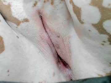 Irishotnoah February 04, 2025 Chaturbate stream image