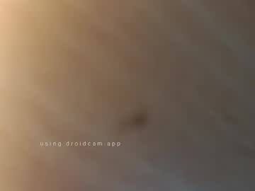 Bangerwood February 04, 2025 Chaturbate stream image