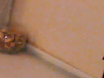 Heaven_Chloe February 04, 2025 Chaturbate stream image