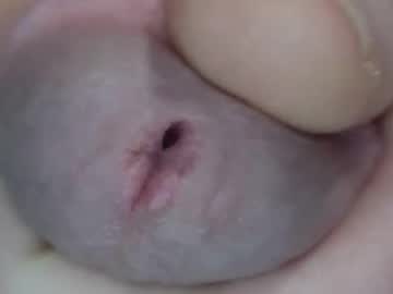 Degenden February 04, 2025 Chaturbate stream image