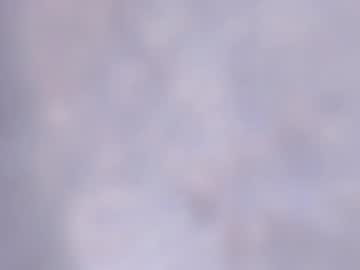 Adriiana_Fox_ February 04, 2025 Chaturbate stream image