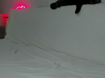 Emilyrosie February 04, 2025 Chaturbate stream image
