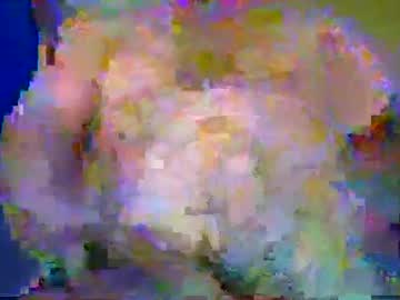 Ninersrule101 February 04, 2025 Chaturbate stream image
