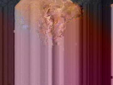 Dgll576 February 05, 2025 Chaturbate stream image