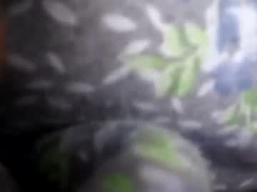 Plko0000 February 05, 2025 Chaturbate stream image